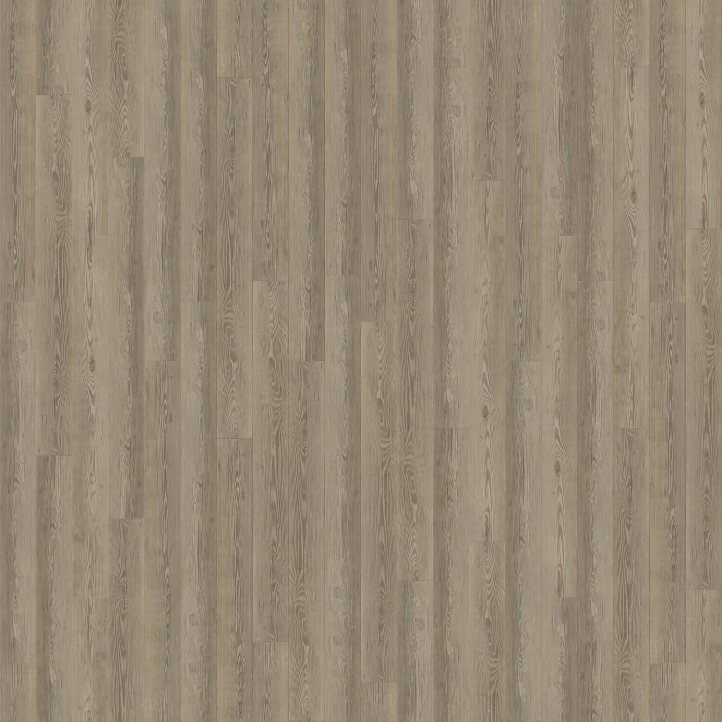 Brigantine Pine view 3